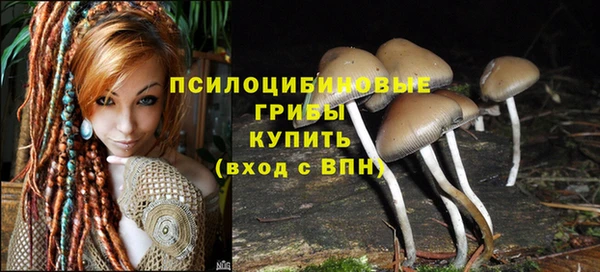 кокс Горнозаводск
